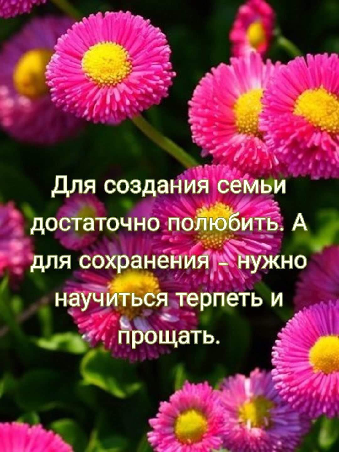 Для соэдания СёМЬи достЪточно поить А Й для со анениЯтЪужно я терпеть и _ Ндощать Ё Ж7 чг і В А _