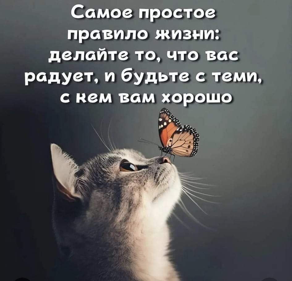 Самое простое правило жизни делайте то Что вас радует и будьте с теми с нем вам хорошо