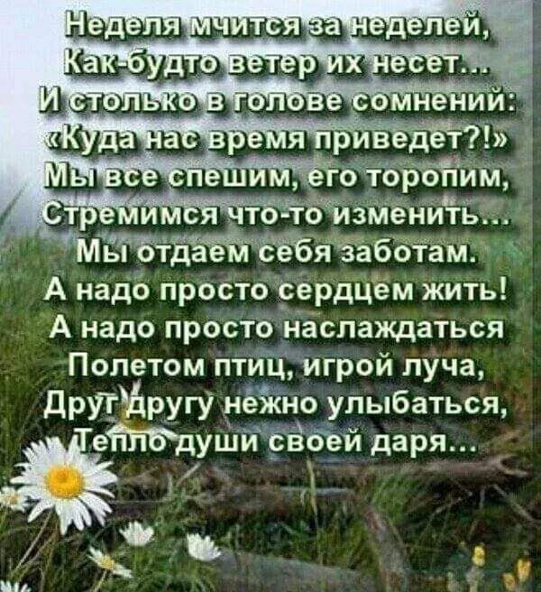 А надо просто сердцём жить А надо просто наслаждаться Полетом птиц игрой луча ДругАругу нежно улыбаться е ушисвоей даря а ы м 7 ч Ъ