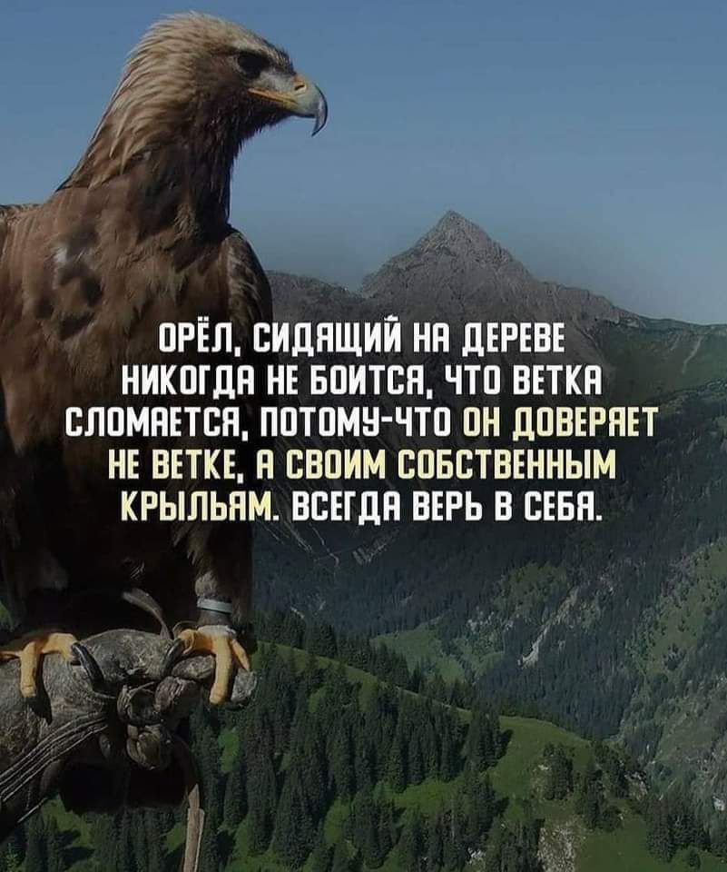 ОРЁЛ СИДЯЩИЙ НА ДЕРЕВЕ НИКОГДА НЕ БОИТСЯ ЧТО ВЕТКА СЛОМНЕТСЯ ПОТОМУ ЧТО ОН ДОВЕРАЕТ НЕ ВЕТКЕ В СВОИМ СОБСТВЕННЫМ КРЫЛЬЯМ ВСЕГДА ВЕРЬ В СЕБЯ