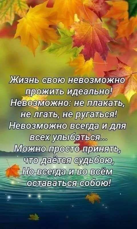 ЭЖизнь свою невозможно прожить идеально Невозможно не лгать не ЧНОЙСеГдетИ