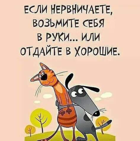 ЕСЛИ НЕРВНИЧАЕТЕ ВОЗЬМИТЕ СЕБЯ В РУКИ ИЛИ ОТДАЙТЕ В ХОРОЩИЕ