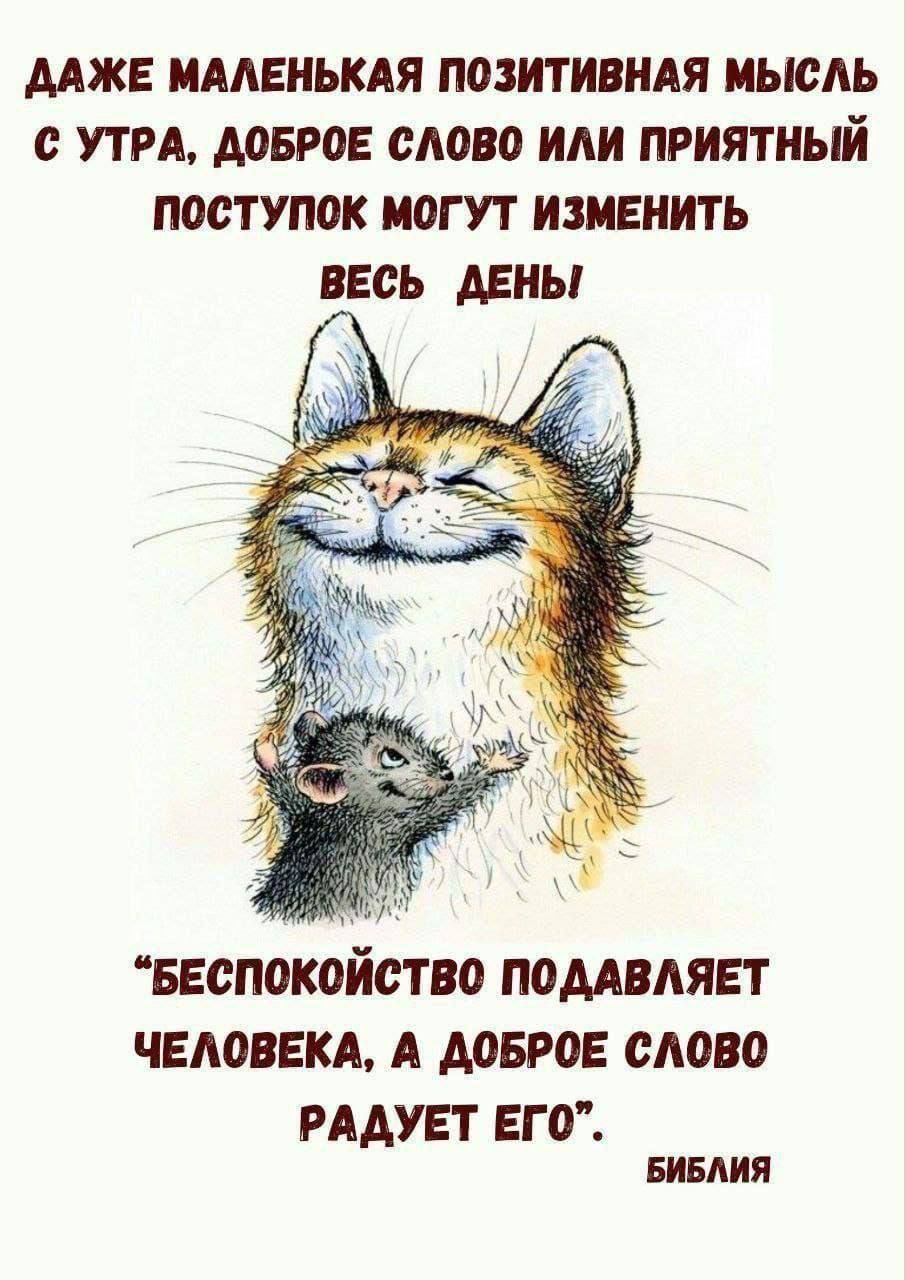 ДАЖЕ МАЛЕНЬКАЯ ПОЗИТИВНАЯ МЫСЛЬ С УТРА ДОБРОЕ СЛОВО ИЛИ ПРИЯТНЫЙ ПОСТУПОК МОГУТ ИЗМЕНИТЬ ВЕСЬ ДЕНЫ БЕСПОКОЙСТВО ПОДАВЛЯЕТ ЧЕЛОВЕКА А ДОБРОЕ СЛОВО РАДУЕТ ЕГО БИБЛИЯ