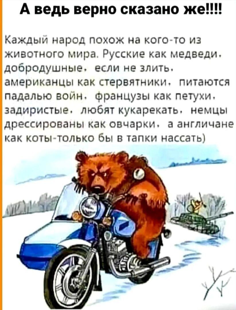 А ведь верно сказано же Каждый народ похож на кого то из животного мира РУССИЕ как медведи добродушные если не злить американцы как стервятники питаются падалью войн Французы как петухи задиристые любят кукарекать немцы дрессированы как овчарки а англичане как коты только бы в тапки нассать