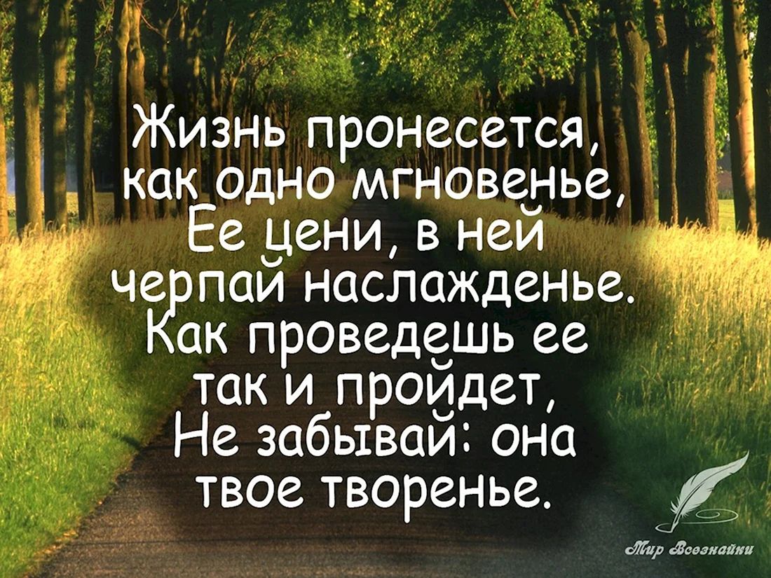 ЕН Жизнь пронесется Как_одномгновенье Ее цени в нейзии черпай наслажденье ак проведешь ее так и пройдет Не забывай она твое творенье