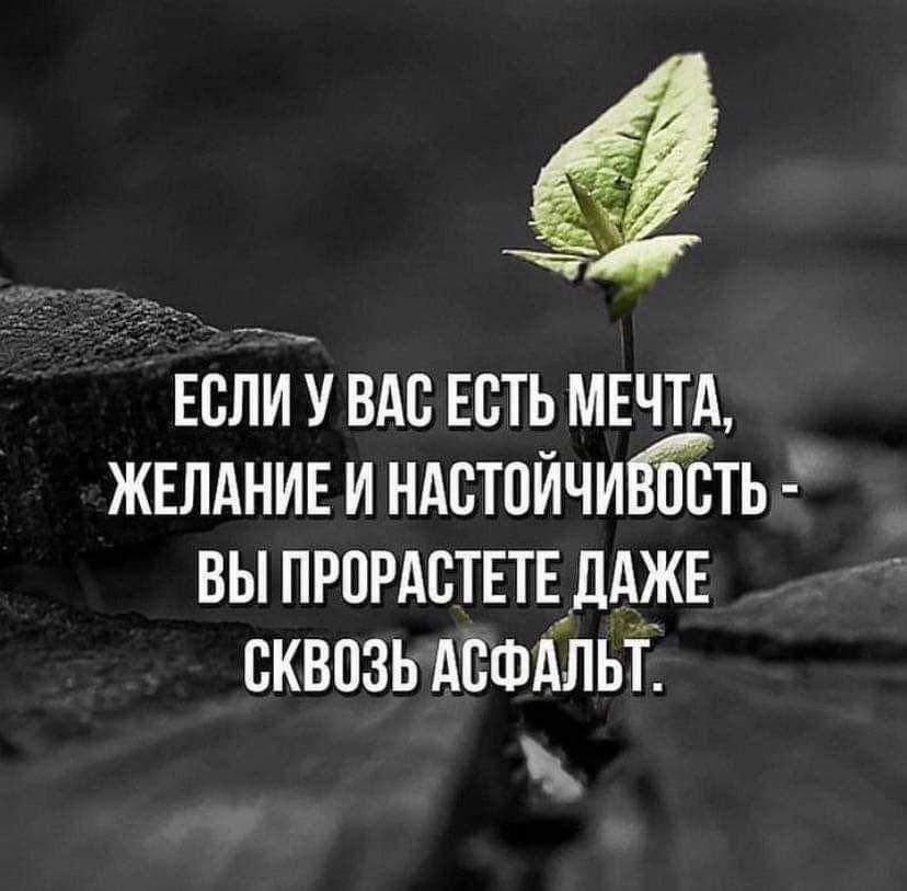 Ф ЕСЛИ У ВАС ЕСТЬ МЕЧТА ЖЕЛАНИЕ И НАСТОИЧИБЁТЬ 3 ВЫ ПРОРАСТЕТЕ ДАЖЕ е СКВОЗЬАСФАЛЬТ