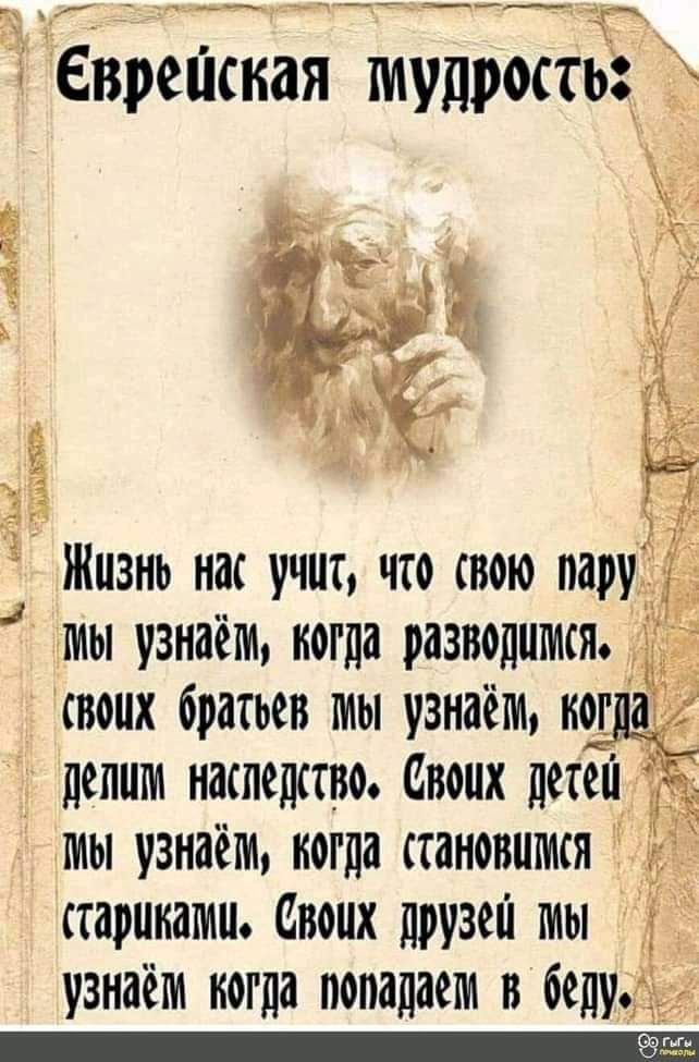 7 гаа оааннь оьь ДоЬ ВЫВ ТЬ о О Еврешкая мудростЁ Жизнь нас учис что свою пару мы узнаём кга разводшисяь вошх братьев мы узнаём когда депши наследство Своих детей ы узнаём когда становится старикатиць Своих друзей мы узнаём когда попадаем В щу