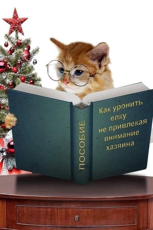 ПОСОБИ