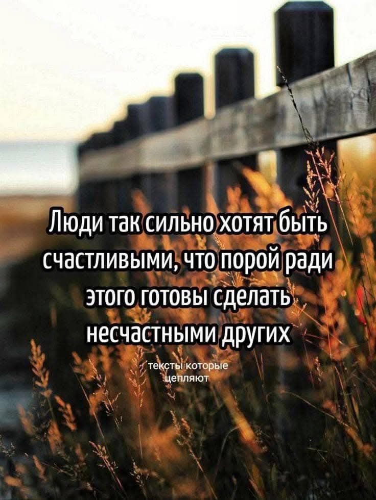 Люди так сильно хотятбыть счастливымих что порой ради этогоготовЫ сделать несчастными других текстыкоторые Цепляют