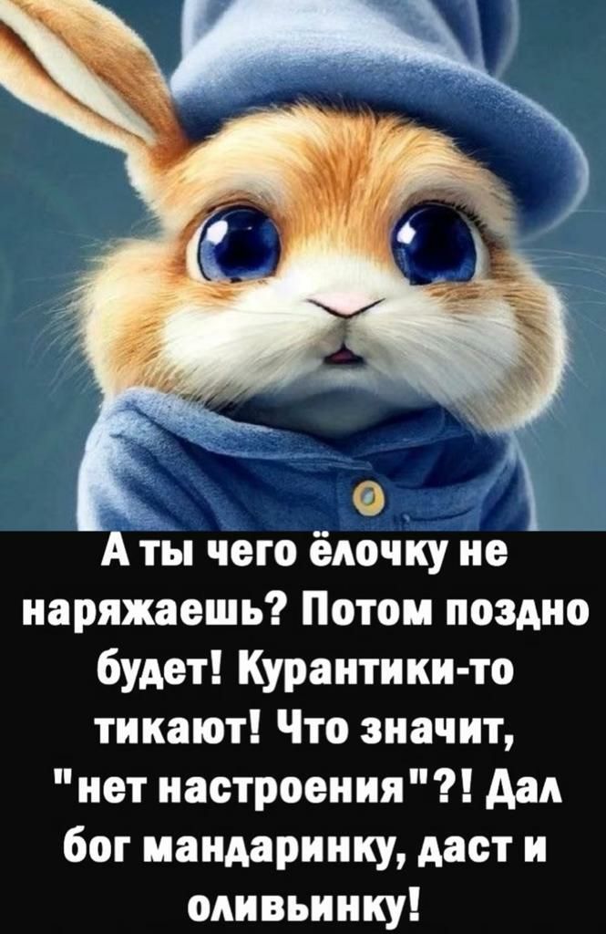 Аты чего ёлочку не наряжаешь Потом поздно будет Курантики то тикают Что значит нет настроения Дал бог мандаринку даст и оливьинку