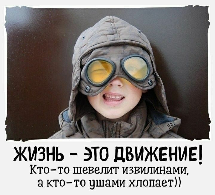 ЖИЗНЬ ЭТО ДВИЖЕНИЕ Кто то шевелит извилинами а кто то ушами хлопает