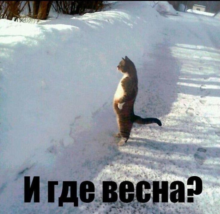 И где весна?