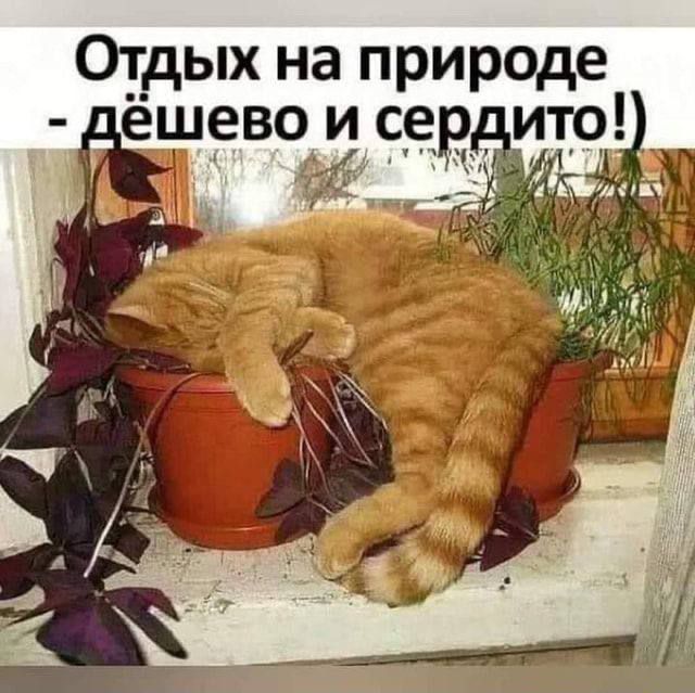 Отдых на природе - дёшево и сердито!)