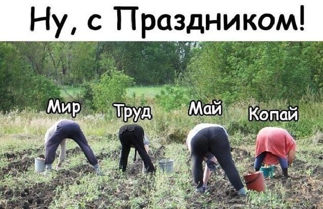 Ну, с Праздником!
Мир
Труд
Май
Копай