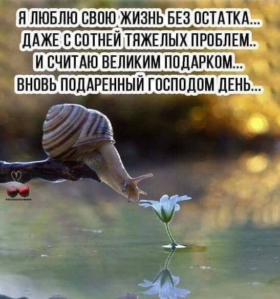 Я люблю свою жизнь без остатка... Даже с сотней тяжёлых проблем... И считаю большим подарком... Вновь подаренный Господом день...