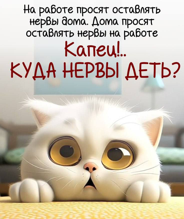 На работе просят оставлять нервы дома. Дома просят оставлять нервы на работе
Капец!... КУДА НЕРВЫ ДЕТЬ?