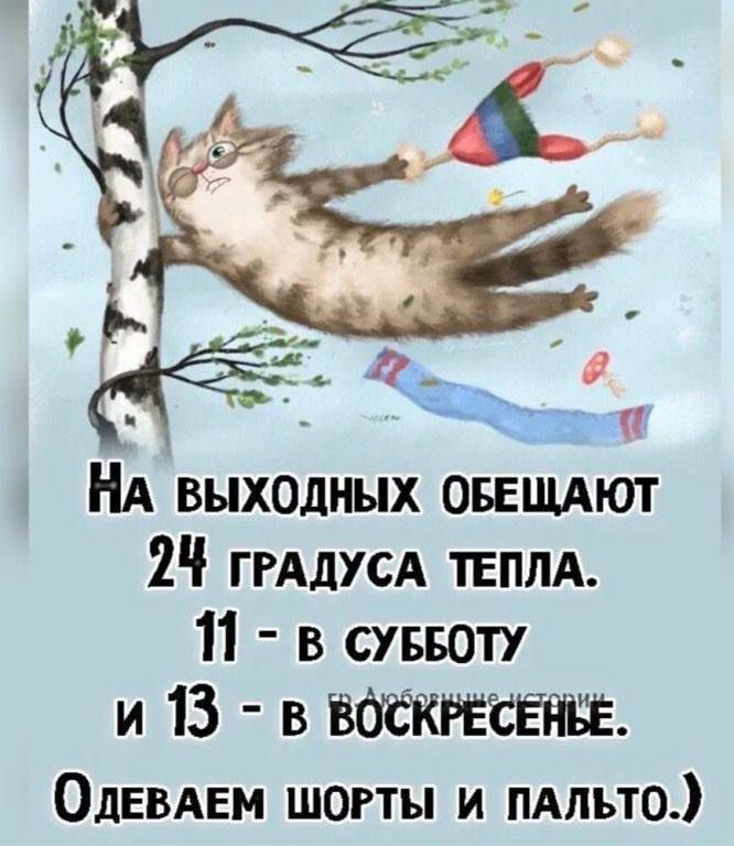 На выходных обещают 24 градуса тепла.
11 - в субботу
и 13 - в воскресенье.
Одеваем шорты и пальто.)