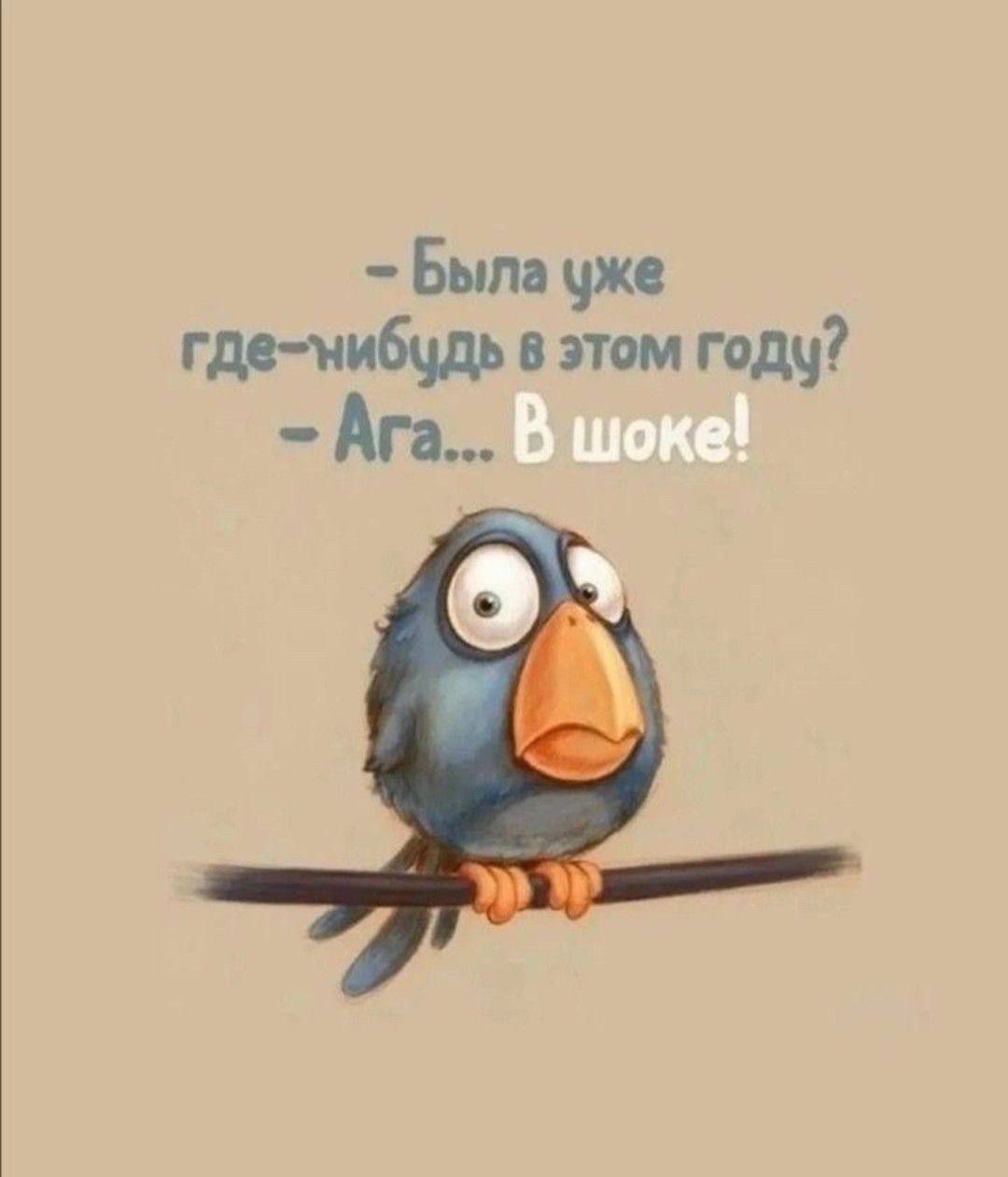 - Была уже где-нибудь в этом году?  - Ага... В шоке!