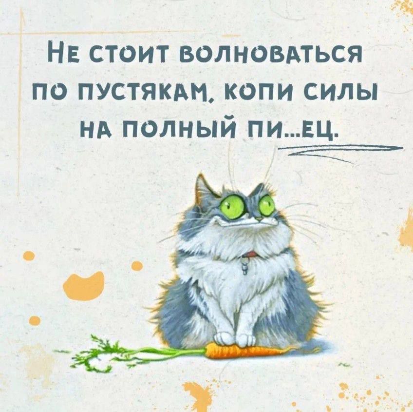 Не стоит волноваться по пустякам, копи силы на полный пи...ец.