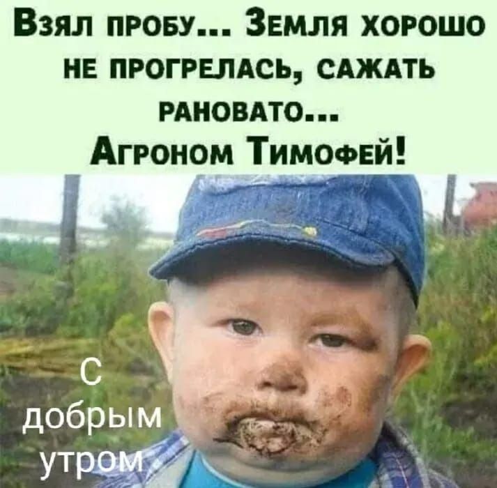 Взял пробу... Земля хорошо не прогрелась, сажать рановато... Агроном Тимофей!
С добрым утром