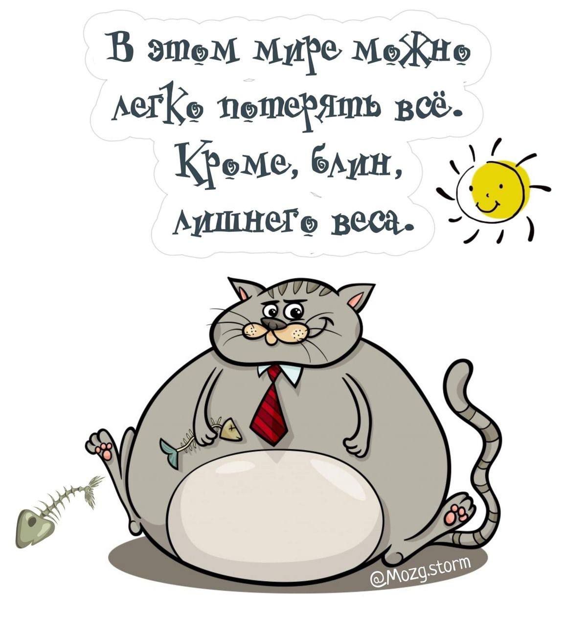 В этом мире можно легко потерять всё. Кроме, блин, лишнего веса.