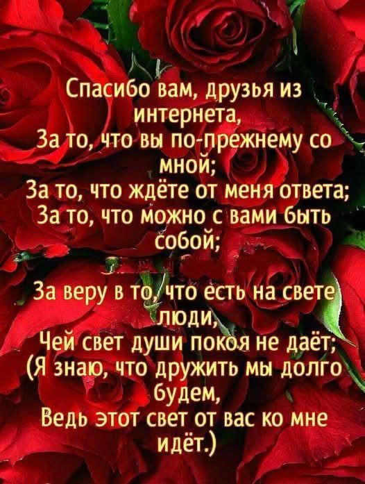 Спасибо вам, друзья из интернета,
За то, что вы по-прежнему со мной;
За то, что ждёте от меня ответа;
За то, что можно с вами быть собой;

За веру в то, что есть на свете люди,
Чей свет души покоя не даёт;
(Я знаю, что дружить мы долго будем,
Ведь этот свет от вас ко мне идёт.)