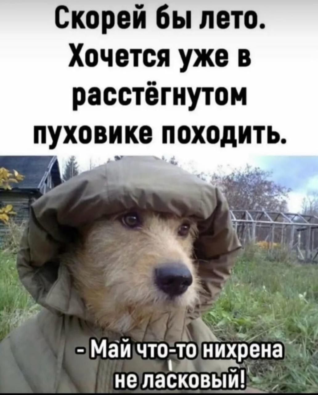 Скорей бы лето. Хочется уже в расстёгнутом пуховике походить.
- Май что-то нихрена не ласковый!