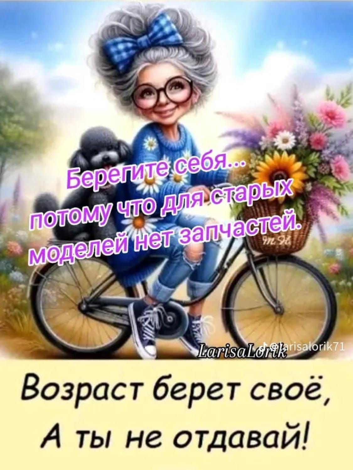 Берегите себя... потому что для старых моделей нет запчастей.
Возраст берет свое, А ты не отдавай!