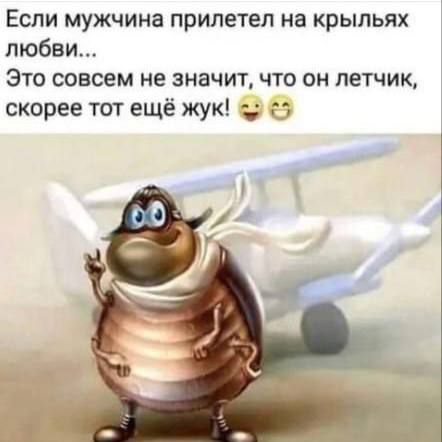 Если мужчина прилетел на крыльях любви... Это совсем не значит, что он летчик, скорее тот ещё жук!