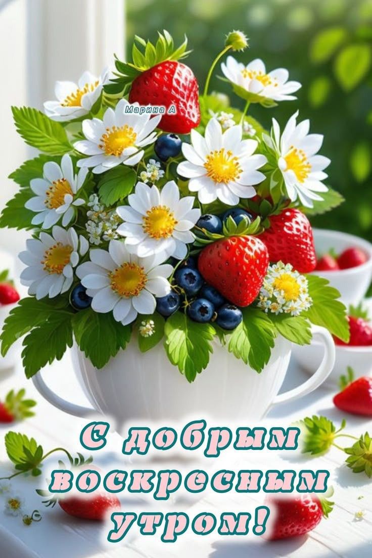 С добрым воскресным утром!