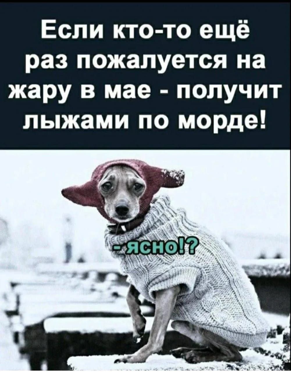 Если кто-то ещё раз пожалеется на жару в мае - получит лыжами по морде!
- ясно!?