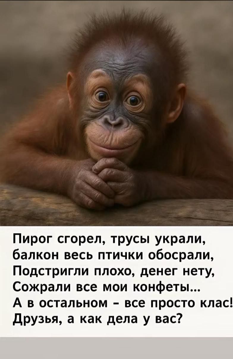 Пирог сгорел, трусы украли, балкон весь птички обосрали, Подстригли плохо, денег нету, Сожрали все мои конфеты...
А в остальном - все просто класс! Друзья, а как дела у вас?