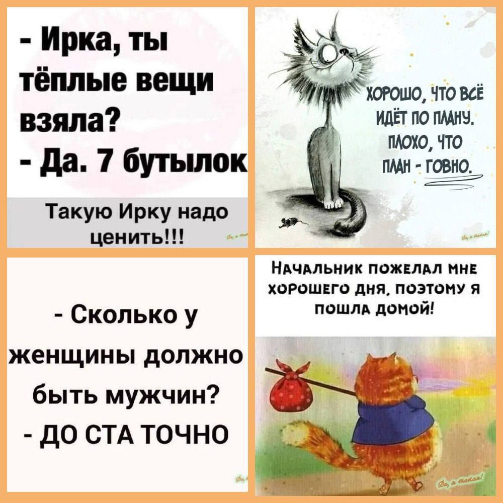 - Ирка, ты тёплые вещи взяла? - Да. 7 бутылок
Такую Ирку надо ценить!!!

Хорошо, что всё идёт по плану, плохо, что план - говно.

Начальник пожелал мне хорошего дня, поэтому я пошла домой!

- Сколько у женщины должно быть мужчин? - ДО СТА ТОЧНО.