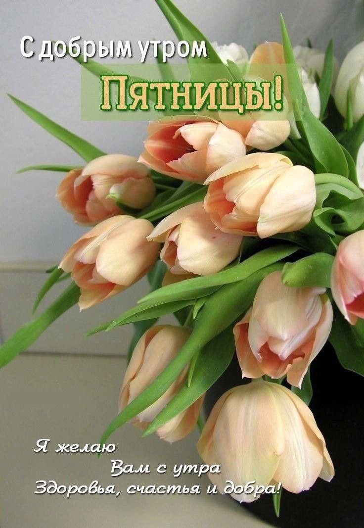 С добрым утром Пятницы!
Я желаю Вам с утра Здоровья, счастья и добра!