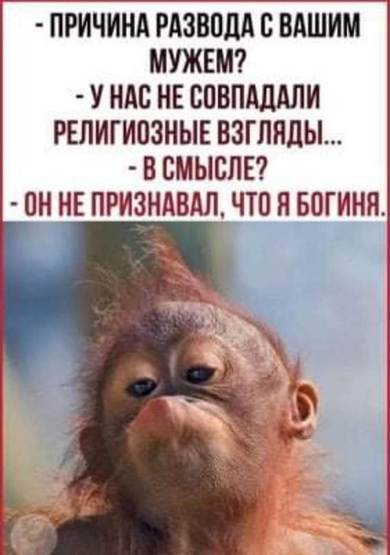 ПРИЧИНА РАЗВОДА С ВАШИМ МУЖЕМ? - У НАС НЕ СОВПАДАЛИ РЕЛИГИОЗНЫЕ ВЗГЛЯДЫ... - В СМЫСЛЕ? - ОН НЕ ПРИЗНАВАЛ, ЧТО Я БОГИНЯ.