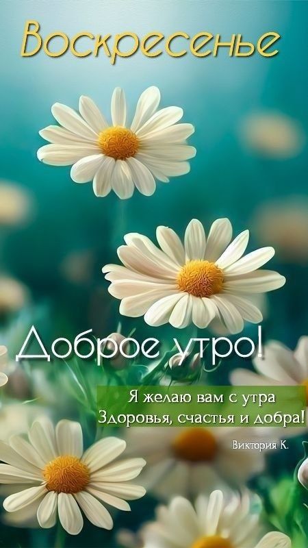 Доброе утро! Я желаю вам с утра Здоровья, счастья и добра! Виктория К.