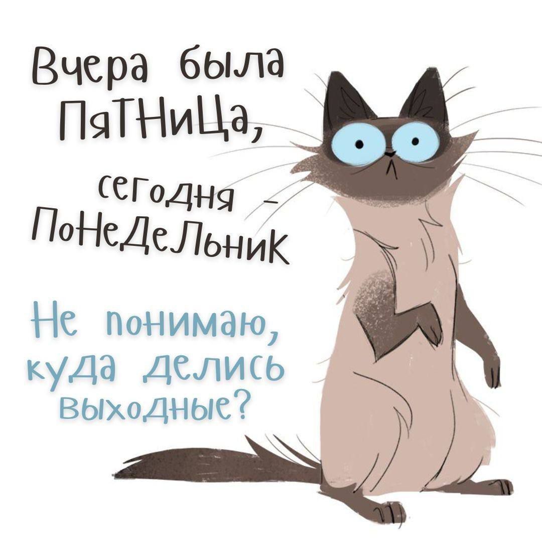 Вчера была Пятница, сегодня Понедельник
Не понимаю, куда делись выходные?