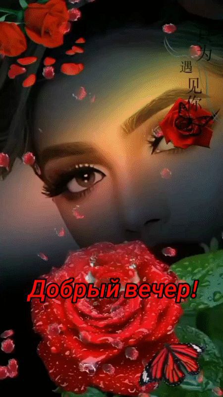 Добрый вечер!