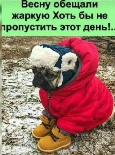 Весну обещали жаркую Хоть бы не пропустить этот день!..