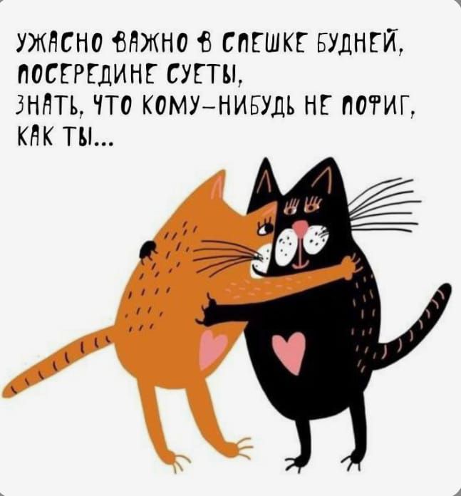 Ужасно важно в спешке будней, посередине суеты, знать, что кому-нибудь не пофиг, как ты...
