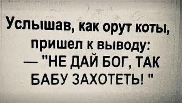 Услышав, как орут коты, пришел к выводу: — 