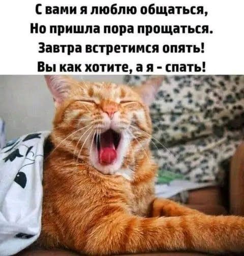 С вами я люблю общаться,
Но пришла пора прощаться.
Завтра встретимся опять!
Вы как хотите, а я - спать!