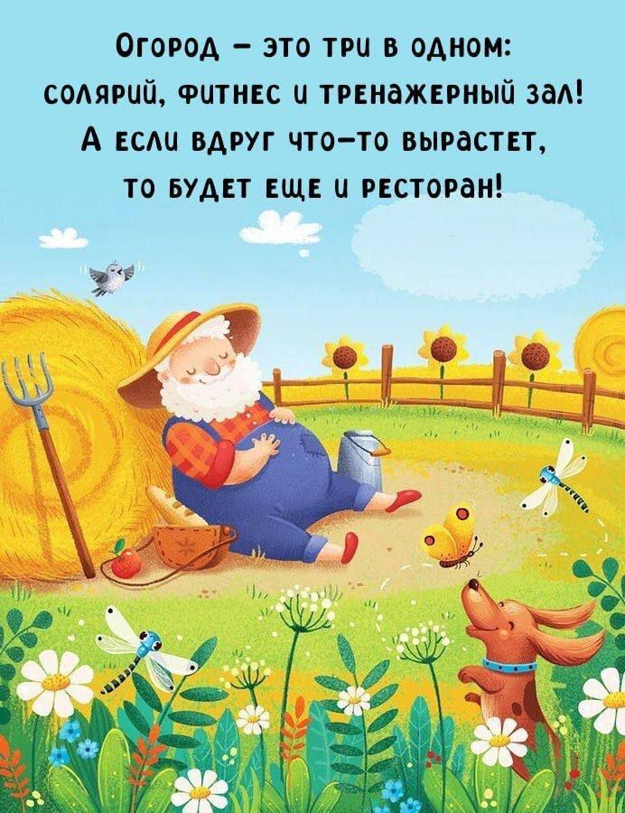 Огород – это три в одном: солярий, фитнес и тренажерный зал! А если вдруг что-то вырастет, то будет еще и ресторан!