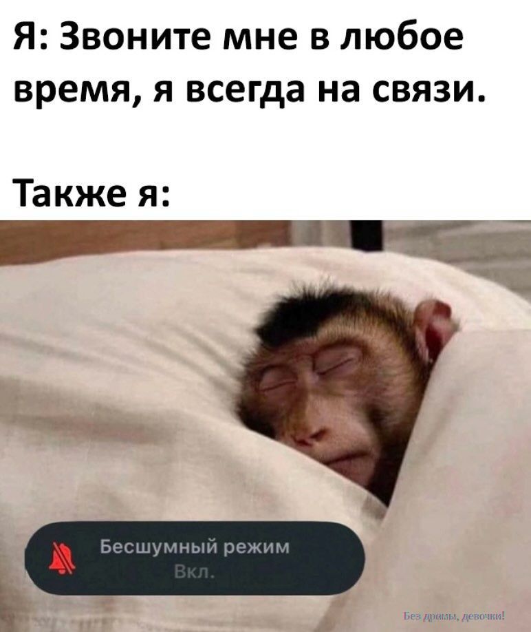Я: Звоните мне в любое время, я всегда на связи.
Также я:
Бесшумный режим
Вкл.
