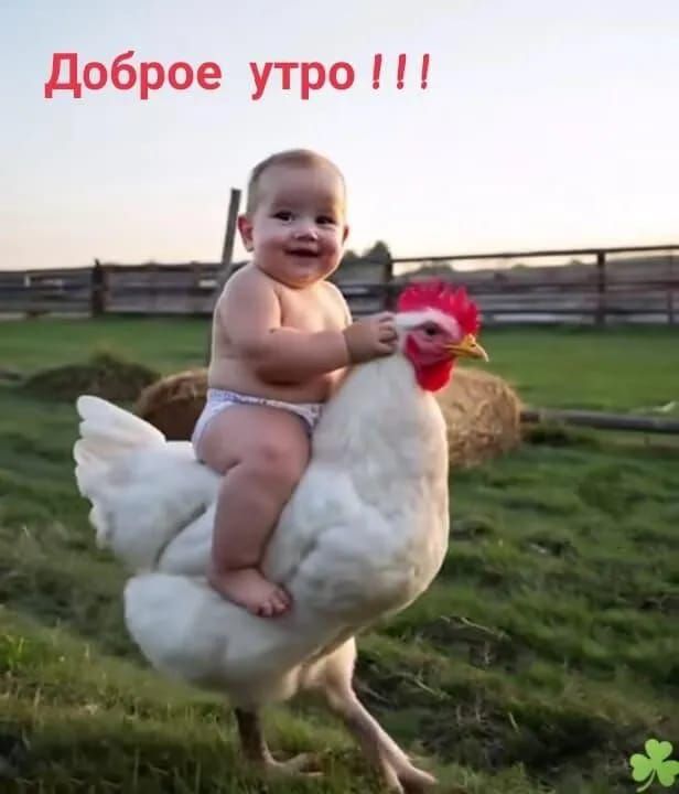 Доброе утро !!!!
