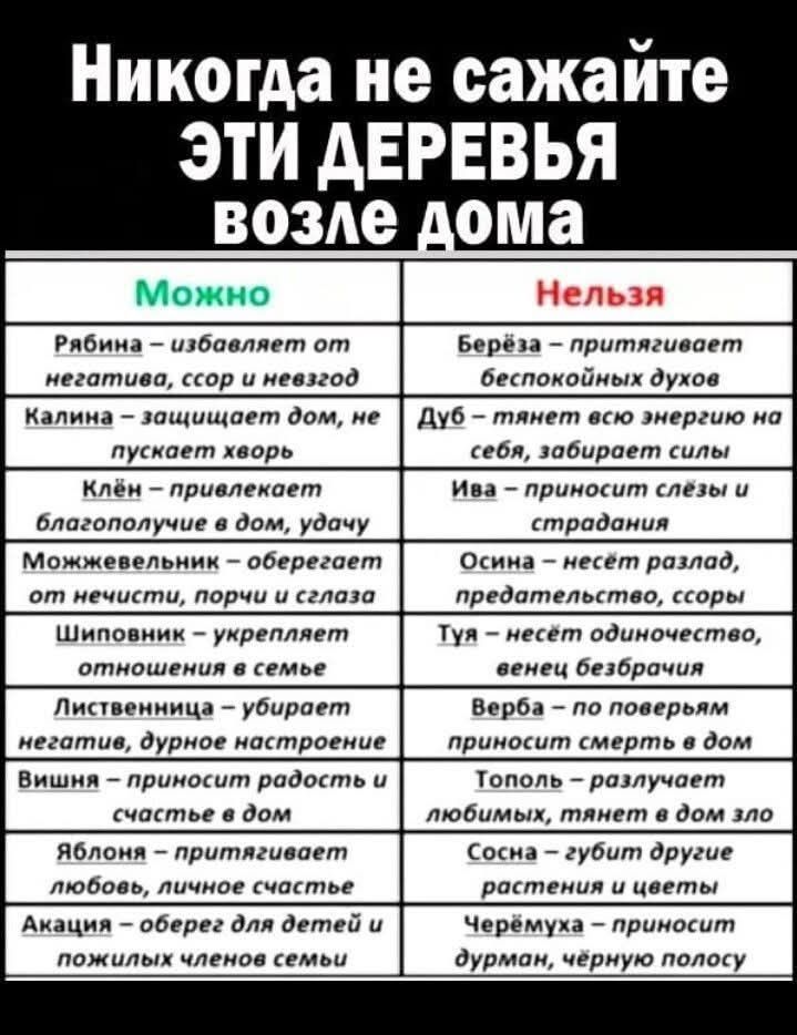 Никогда не сажайте ЭТИ ДЕРЕВЬЯ возле дома

МОЖНО
Рябина – избавляет от негатива, ссор и невзгод
Калина – защищает дом, не пускает хворь
Клён – привлекает благополучие в дом, удачу
Можжевельник – оберегает от нечисти, порчи и сглаза
Шиповник – укрепляет отношения в семье
Листва – убирает негатив, дурную энергетику
Вишня – приносит радость и счастье в дом
Яблоня – запускает любовь, гармонию и покой в семье

НЕЛЬЗЯ
Берёза – притягивает беспокойных духов
Дуб – тянет всю энергию на себя, забирает силы
Ива – приносит слёзы и страдания
Осина – несет разлад, предательство, злобу
Туг – раздаёт беды, приносит горе в дом
Верба – открывает врата минусовой энергии
Тополь – забирает радость, расстраивает и дурит
Чёремуха – притягивает черную магию
