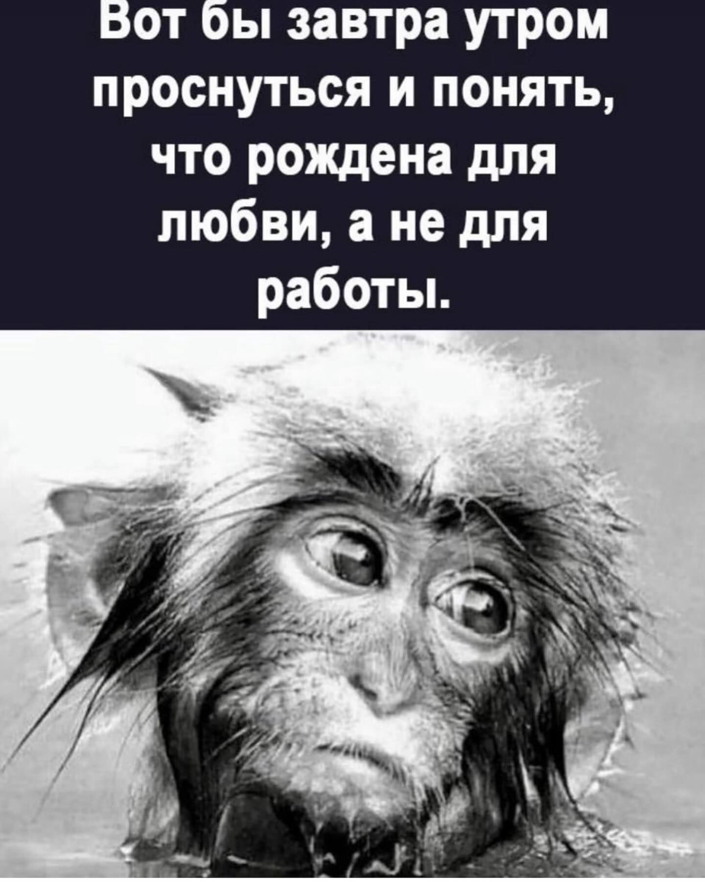 Вот бы завтра утром проснуться и понять, что рождена для любви, а не для работы.