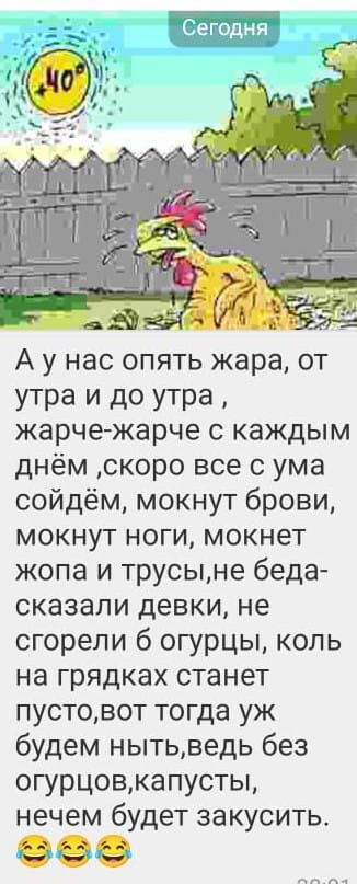 А у нас опять жара, от утра и до утра, жарче-жарче с каждым днём, скоро все с ума сойдём, мокнут брови, мокнут ноги, мокнет жопа и трусы, не беда - сказали девки, не сгорели б огурцы, коль на грядках станет пусто, вот тогда уж будем ныть, ведь без огурцов, капусты, нечем будет закусить.