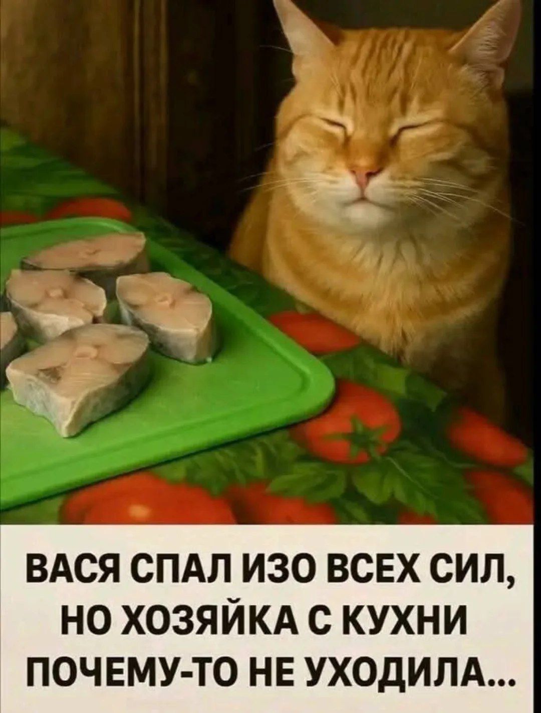 ВАСЯ СПАЛ ИЗО ВСЕХ СИЛ, НО ХОЗЯЙКА С КУХНИ ПОЧЕМУ-ТО НЕ УХОДИЛА...