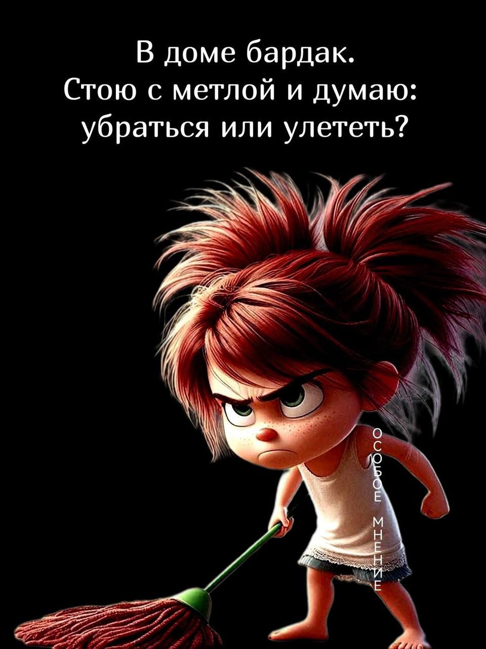 В доме бардак. Стою с метлой и думаю: убратьсья или улететь?